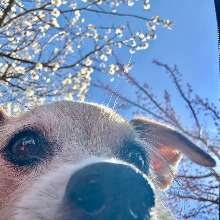 B669f9ba 4abb 44b8 b7e8 661af5bead10 1740553203074