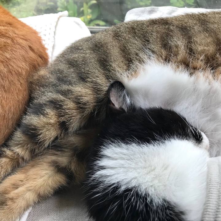 B66a28af 01da 4e7e 98f0 826d5a6e09b7 1538531802489