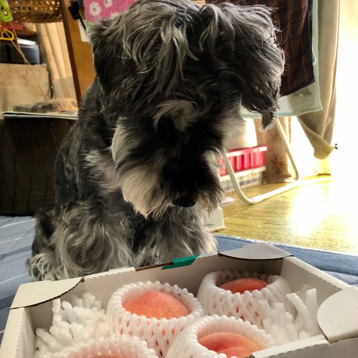 B66a825e 7d92 4200 ac0a f3aac3515d04 1690003899001