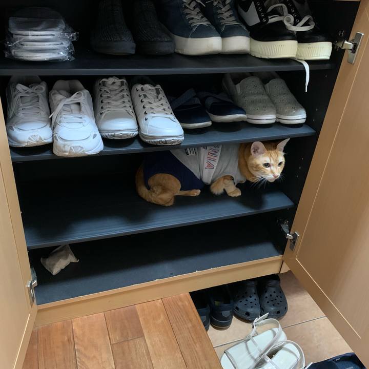 B66a890d 6424 4c01 abd9 22a57dbdaa80 1618703895381