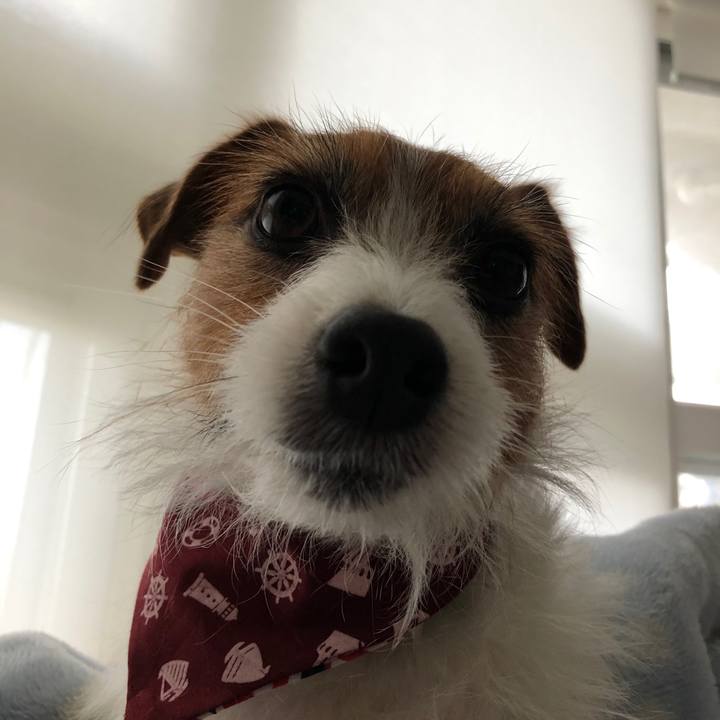 B66a8d07 c31d 400e 8a9b 03a1cebc29cd 1604593083493