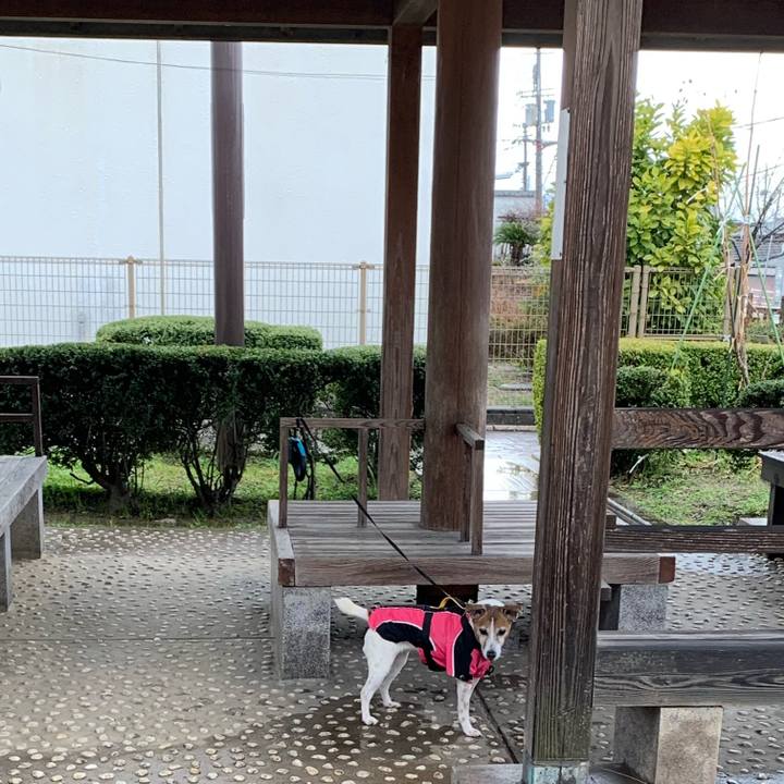 B66a9c50 b43c 4720 a766 b9f7dfcb8a71 1583631586079