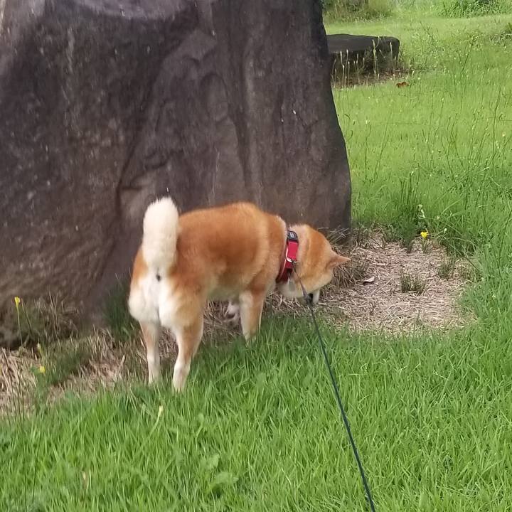 B66ab1d9 ec28 4cd0 a3a4 a3e432dd2bbc 1722070092122