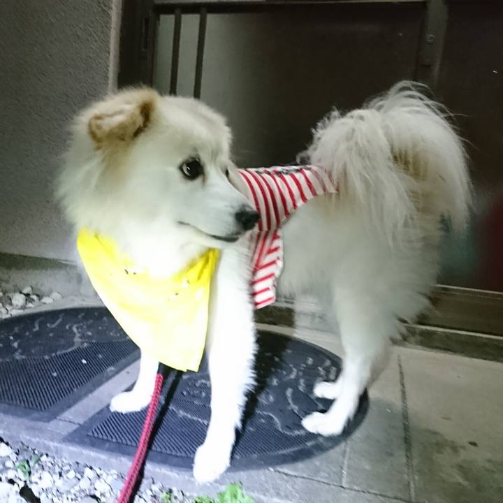 B66ac5e2 e7c3 4fc0 8dcf aa649fc5513a 1542101348907