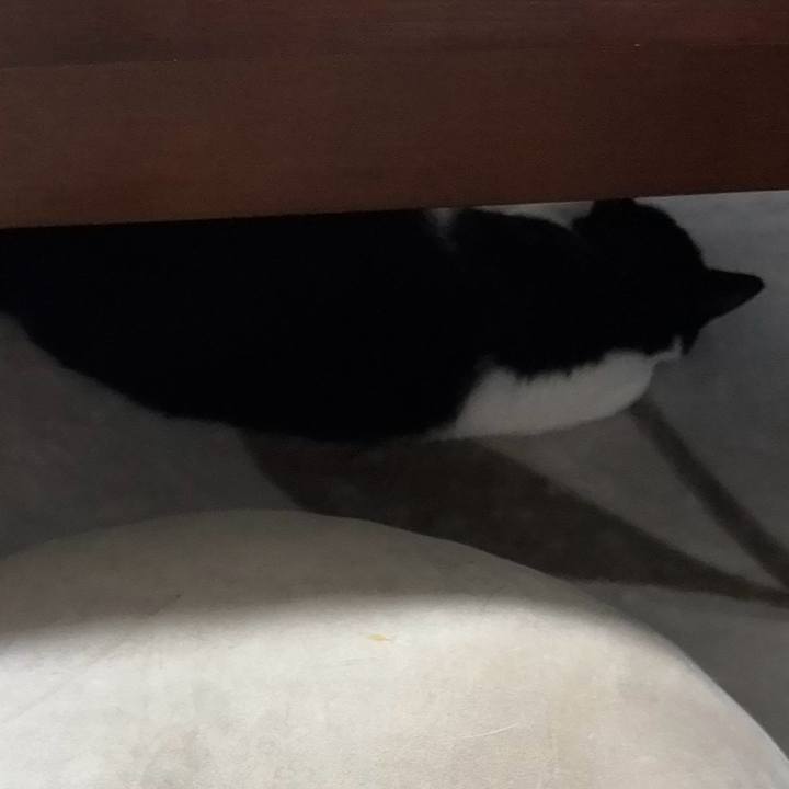 B66b3331 146b 4f62 b9d7 dcc04362f85f 1760014405269