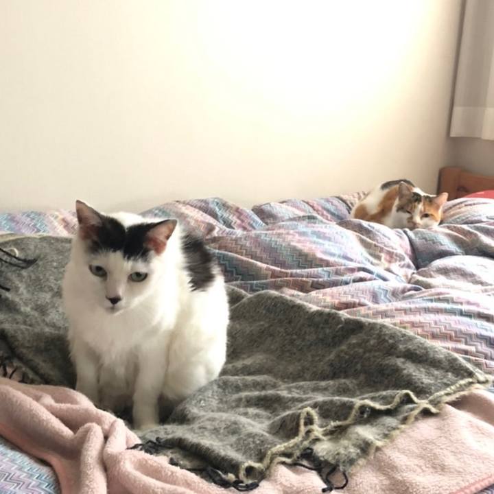 B66b33db 5e08 488b b2e4 b26158d2e25b 1665781678981