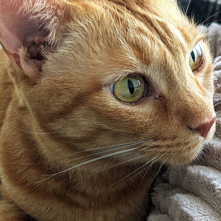 B66b6f07 e45d 4bcb ae96 2fccea6d1c4b 1697678967762