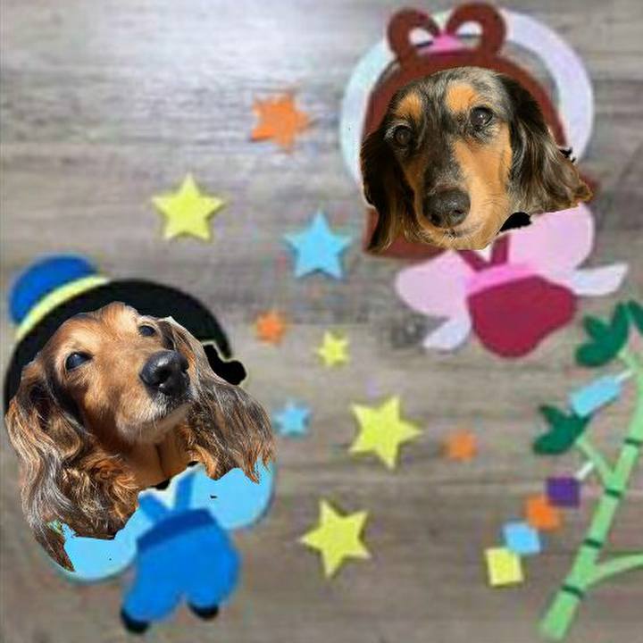 B66ba38c e1f2 4f1f 98ad 5e0c9e36118d 1625742889756