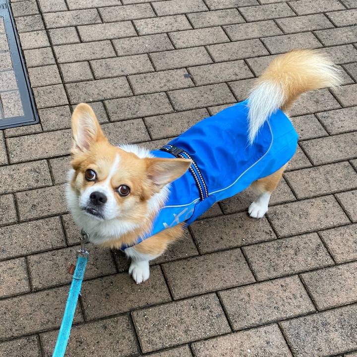 B66baad9 00e7 4809 9c22 9f15d8973cbf 1628856004184