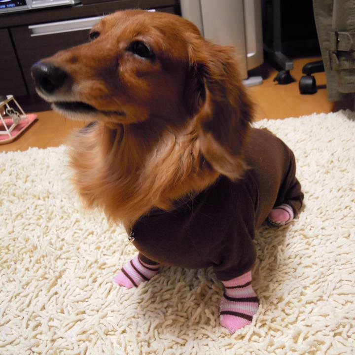 B66baf6e 1ea9 47bd a08b 506217665f1a 1561225476930