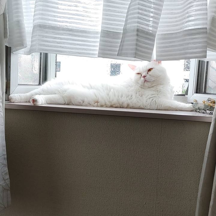 B66bb383 08d4 477a 9915 b2844a1d0cc1 1628461752254