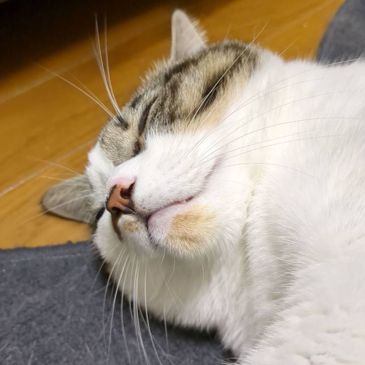 B66bd10a bf29 4299 99de 661687e1f564 1669464325662