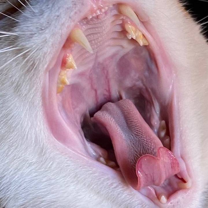 B66be0d3 f03f 4296 95aa 64fdefd4c835 1588216244258