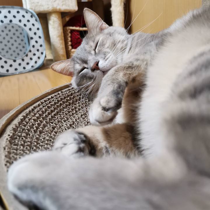 B66bed0b 1fc1 4d78 8574 928b8d522a62 1610373889395