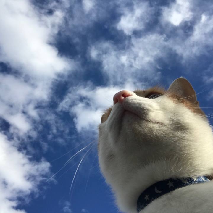 B66bf700 ef32 4948 9dbb fec215a94920 1510357399401