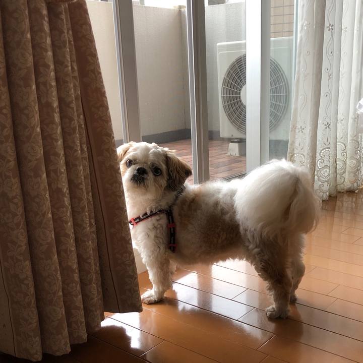 B66bfb93 9cf8 4a79 a39c a92f6e7cec01 1596242083319