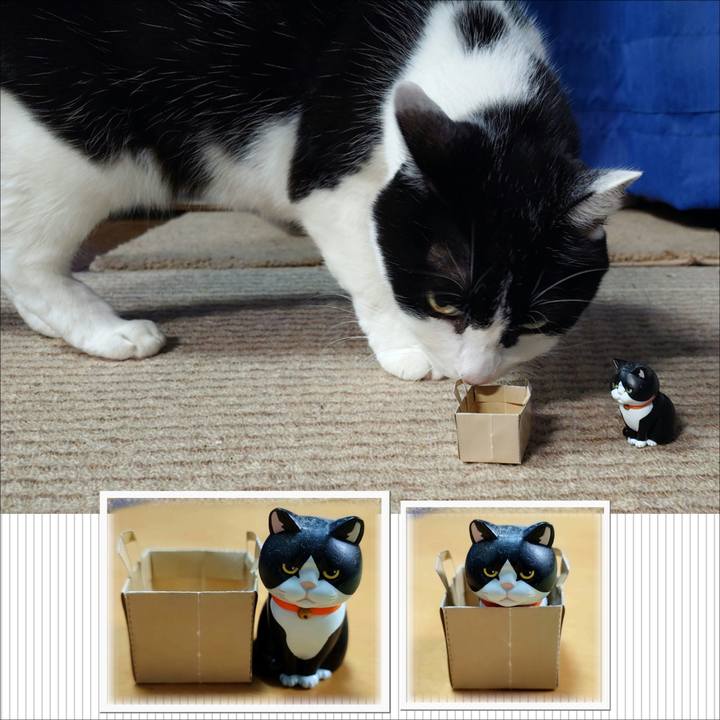 B66bfc7d f695 4bd5 a9ec 54f97575eefb 1764859103264