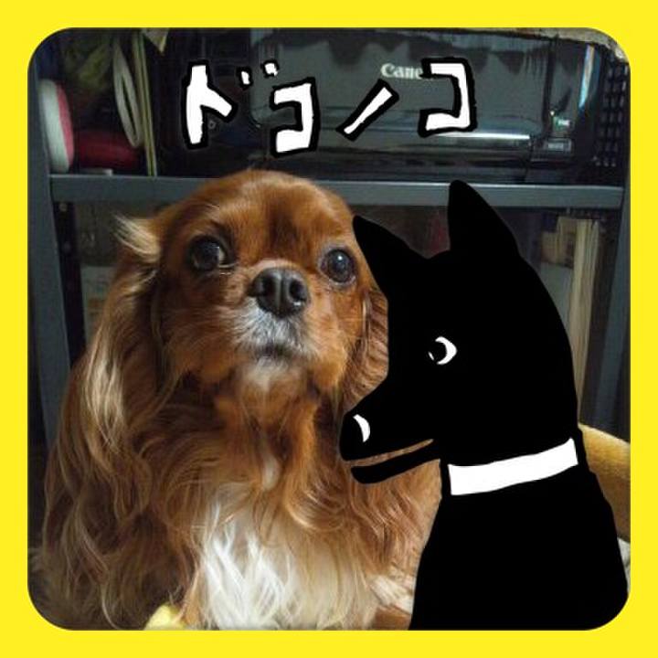 B66c222b b596 406e bee5 984e24eace10 1622866880617