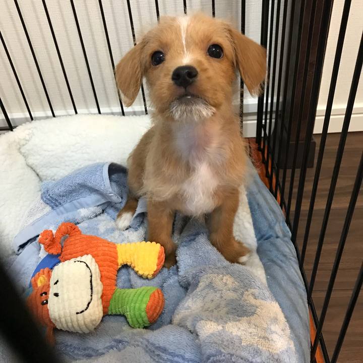 B66c4569 26a9 4c26 a771 3a93d8062f0a 1516262604038