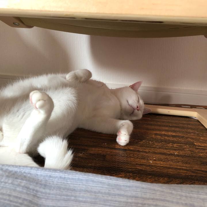 B66c7a1c 3ad4 4f1d aa2a 70826d0519bd 1532242995948