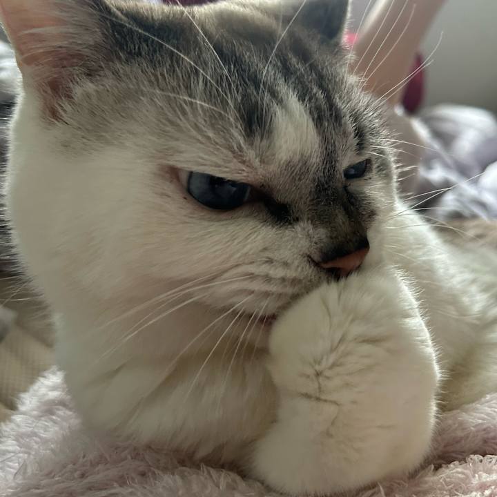 B66c9a63 b6b1 45af 9de6 2b80c461dae4 1771111158544