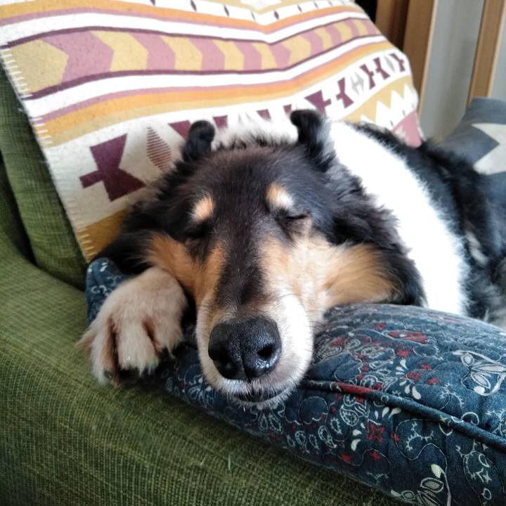 B66cedbf eaa6 44a9 bc69 fff60c1e7f94 1540215121285