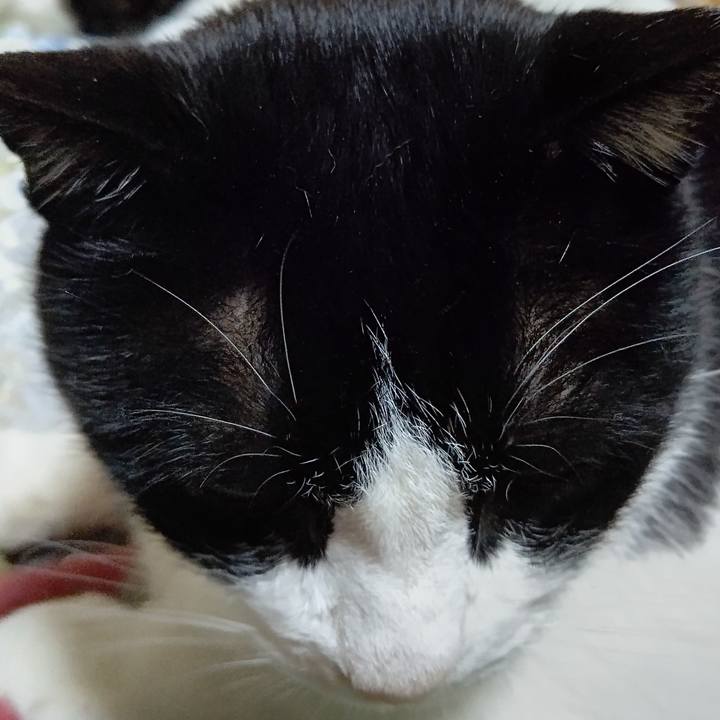 B66d0be4 0ccb 4c84 af12 80c5cbb870da 1623189184328