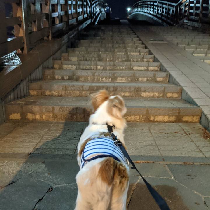 B66d0dc5 7aa6 40c3 9f72 fba46813013f 1622637838935