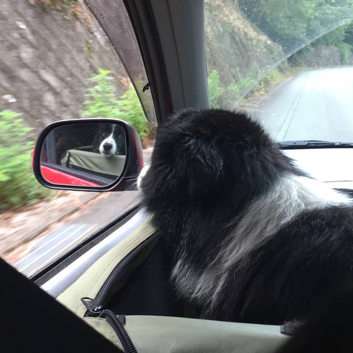 B66d2338 9d2f 45f5 88ba 735f0f4e6666 1532324810802