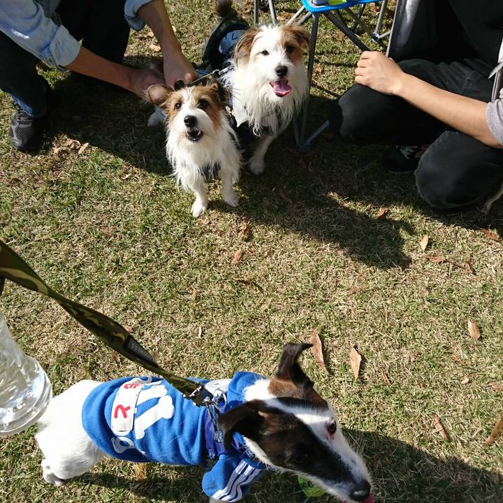 B66d36f0 a827 49bb b163 335a7c5c3857 1509764436522