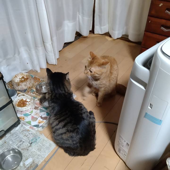 B66d75bf b37e 4507 97b4 3a977baefd68 1701417974697