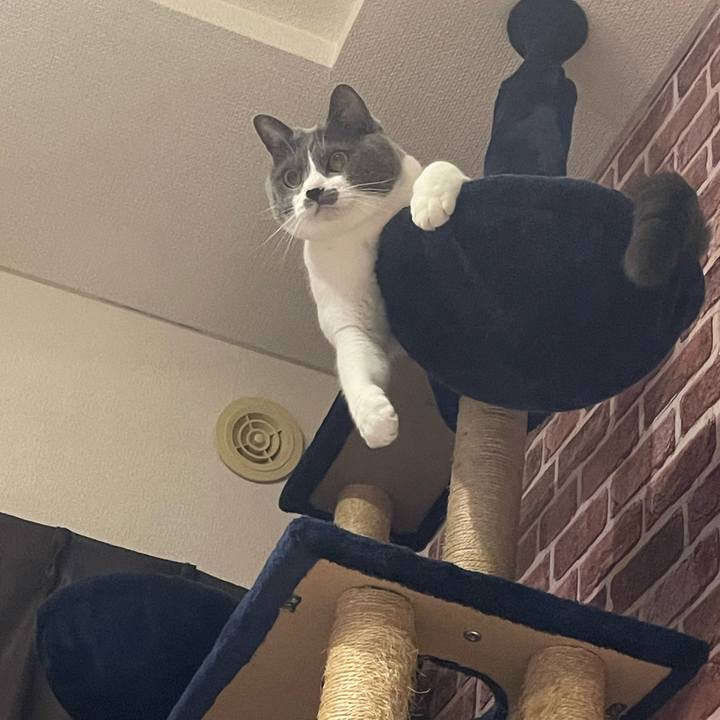 B66d76c1 b4ab 4b05 ac31 b1e46bbe5503 1684582117703