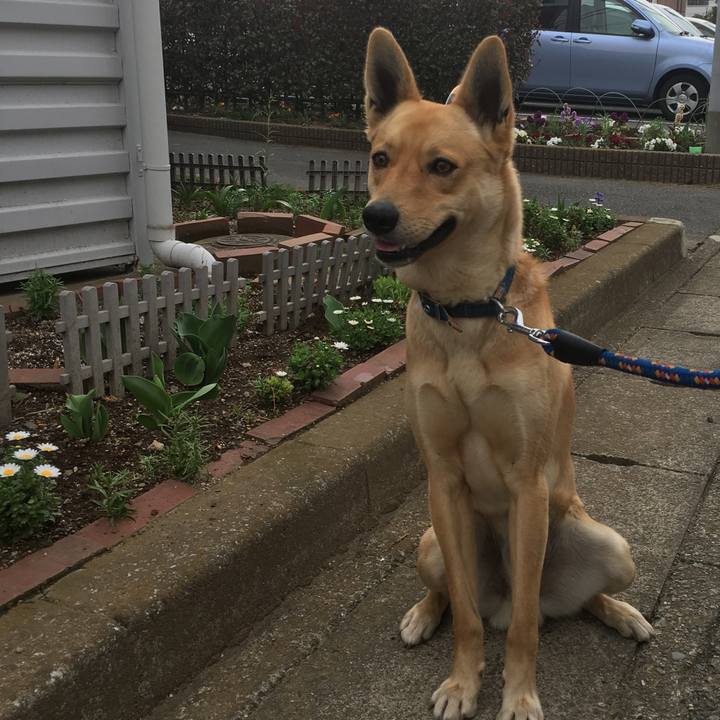 B66d845b 5fd4 4e5a a0c0 fbab210b9d08 1521874776660