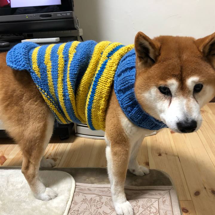 B66da939 f70f 4359 9bce 636088fbb798 1545139587826