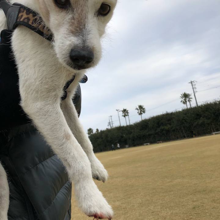 B66db7d6 f9b3 4aca 888b 06b81ddb360f 1513411210588