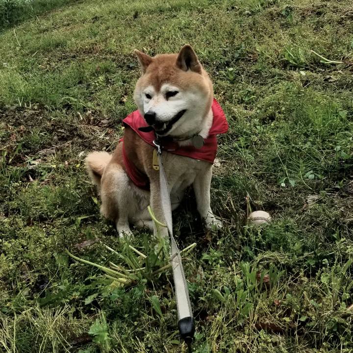 B66dc3f6 45b9 49c4 ba2c 2899ab157f02 1621148629983