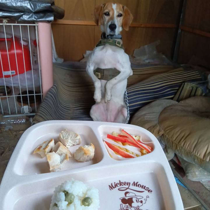 B66dde82 11b5 4de4 a58f 4b83853cb4a5 1717069576999