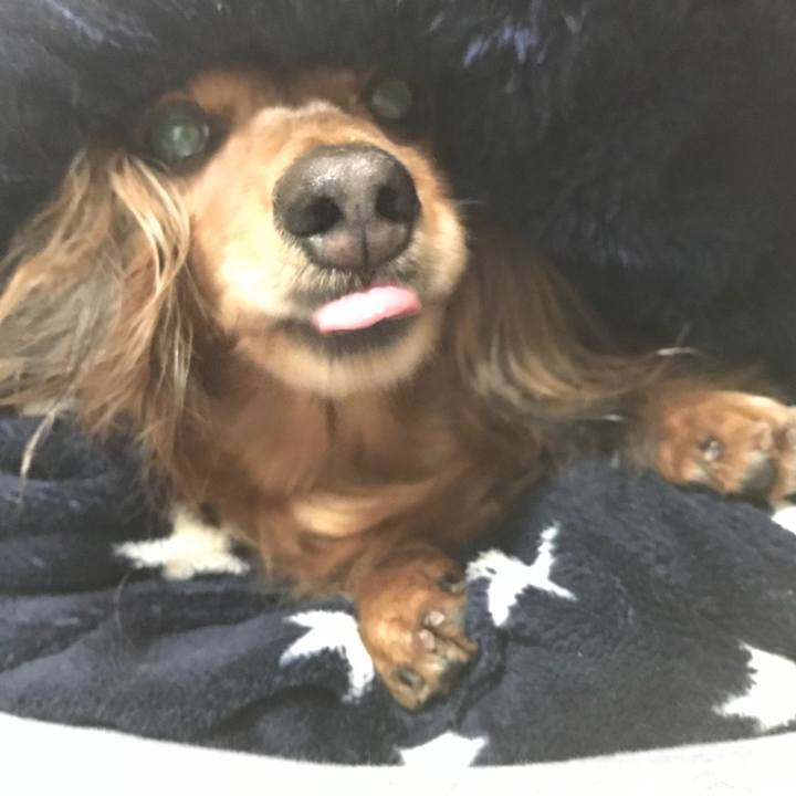 B66de4d1 8344 4a7b b3c3 4590ffbb55c5 1536538246349