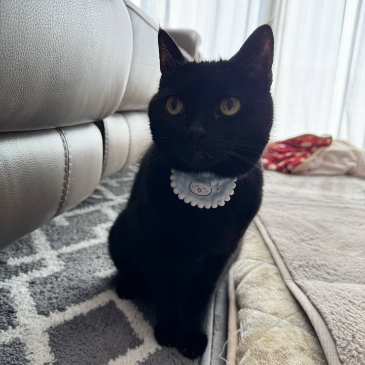 B66de7a3 11bb 4cae bfb8 4d2c113e2a5a 1771241297880