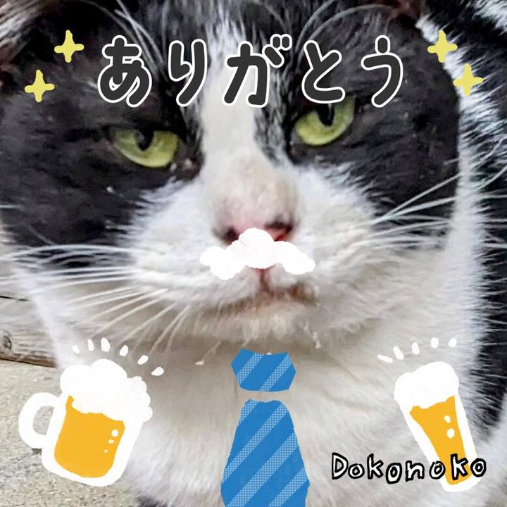 B66df4a9 e829 4614 bc19 55604c4afbfe 1717667696431