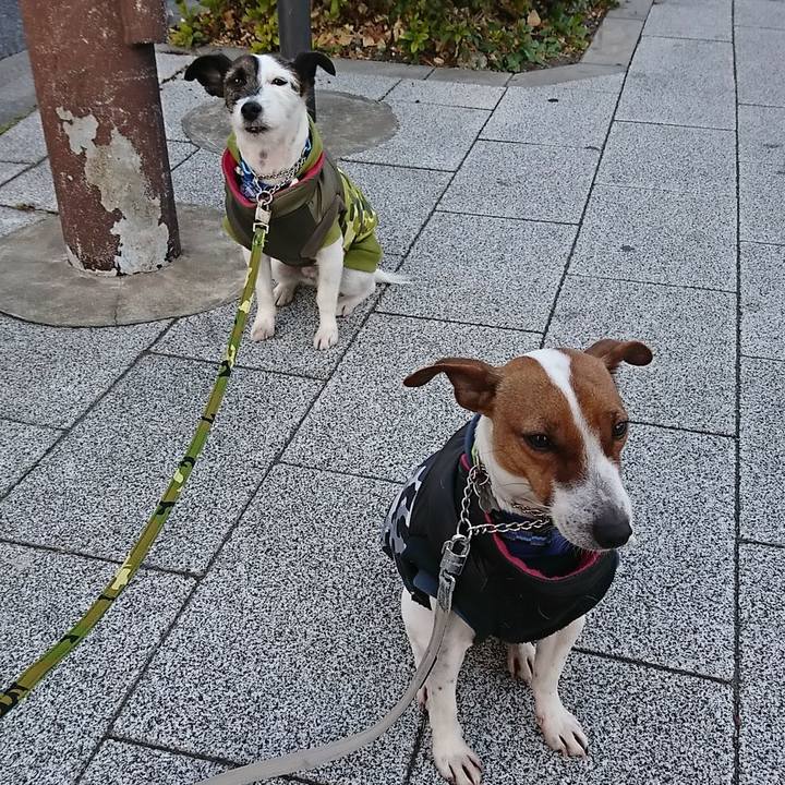 B66e140f 4607 4ab7 9dc8 105cd9394cc4 1548460948641