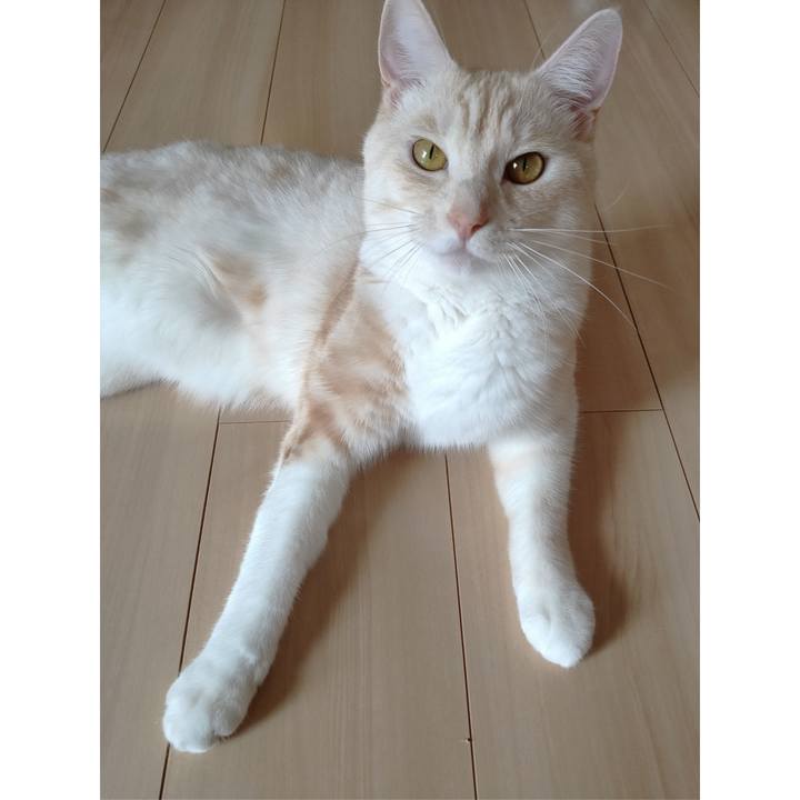 B66e1479 e494 4a53 aee4 76b01d473077 1659841409217