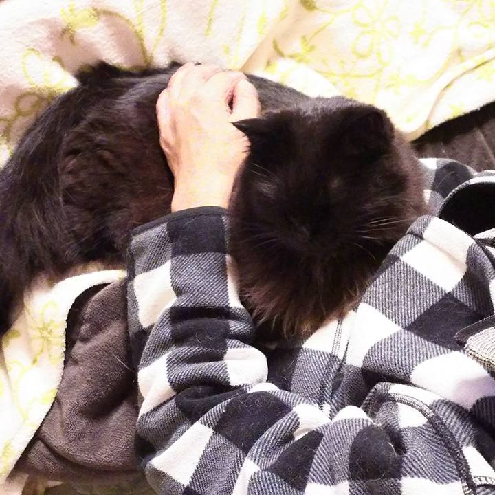 B66e3d09 2c7e 4e54 8a9b 9954974f0029 1513173908587