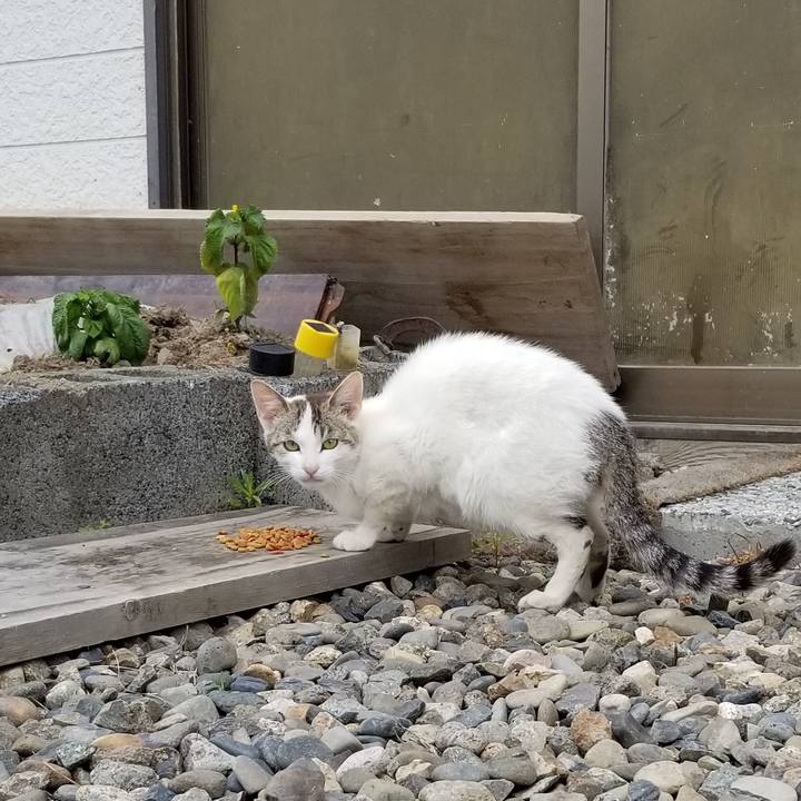 B66e564a 633a 4ac7 ad3c 2f284171beb4 1560093807148