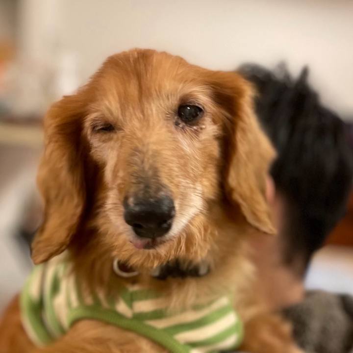 B66e8210 90ae 49ff b083 28e16bec9fa5 1711201034894