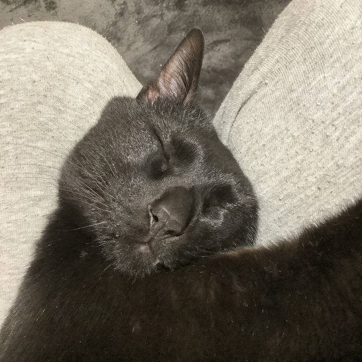 B66edb33 5149 4de1 a547 e24fa8d96ac9 1583851080092