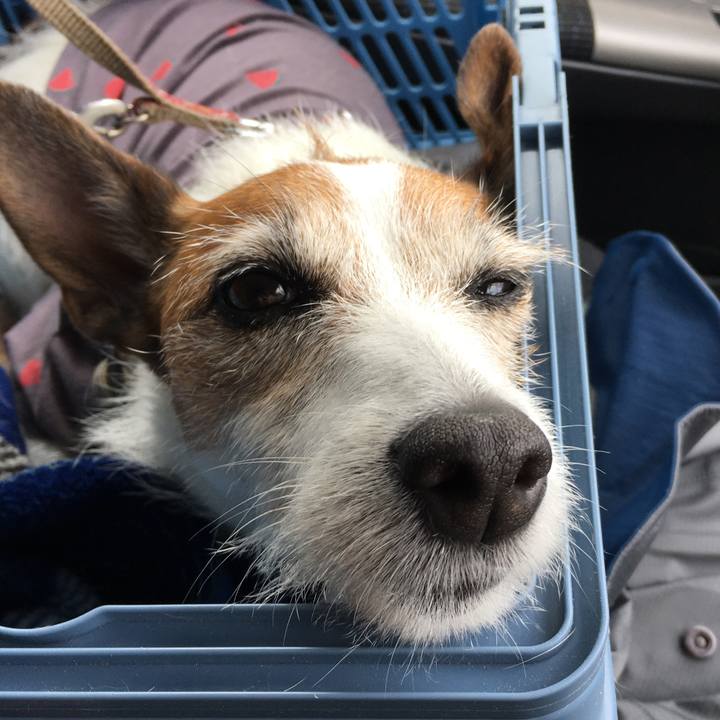 B66edf36 eb51 47a5 8650 343b502b14ea 1622418107527