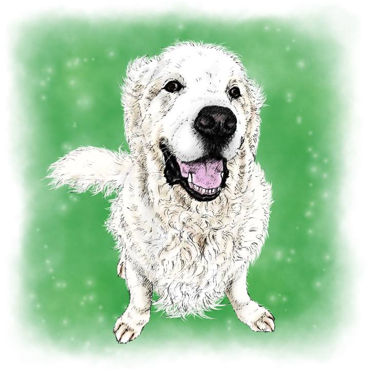 B66f0d61 9f2e 4775 8d15 ef656420cc15 1606565156312