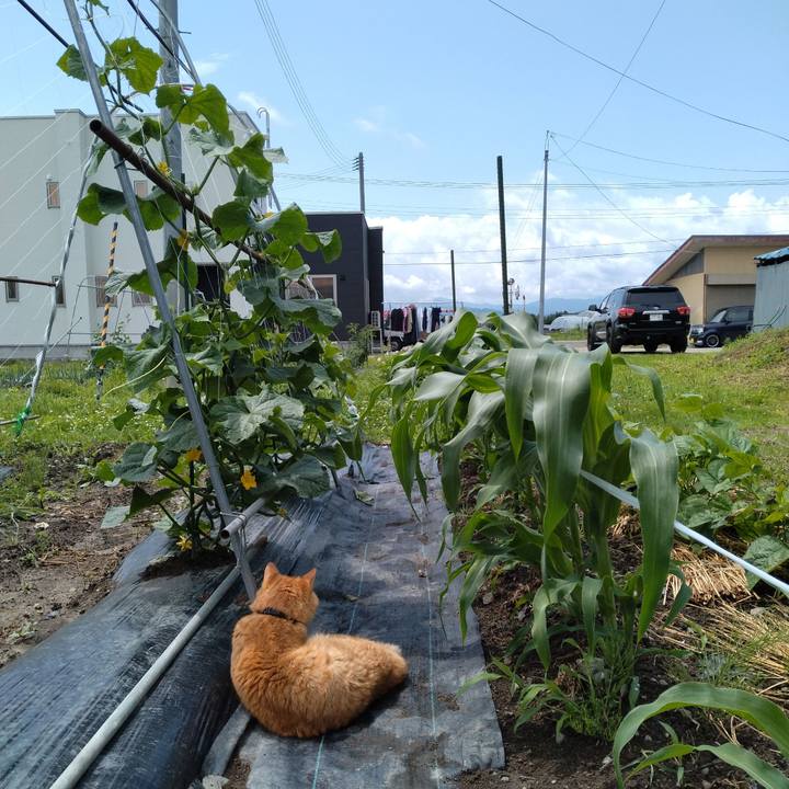 B66f1d6f 8afa 4445 a9d1 26f6b6165705 1688005995802