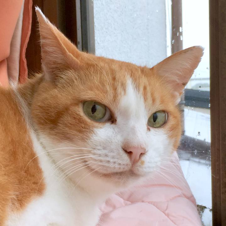 B66f2f5a b7e8 430a b068 82e92e241ac8 1566529929934